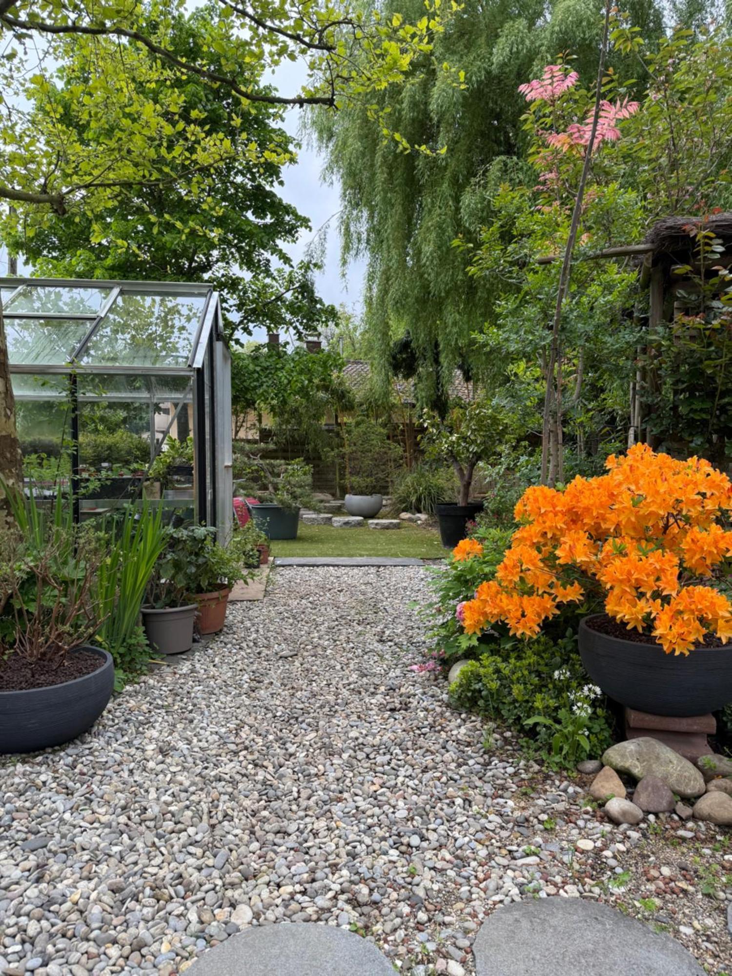Готель Le Jardin De La Tuilerie Alsace Pfastatt Екстер'єр фото