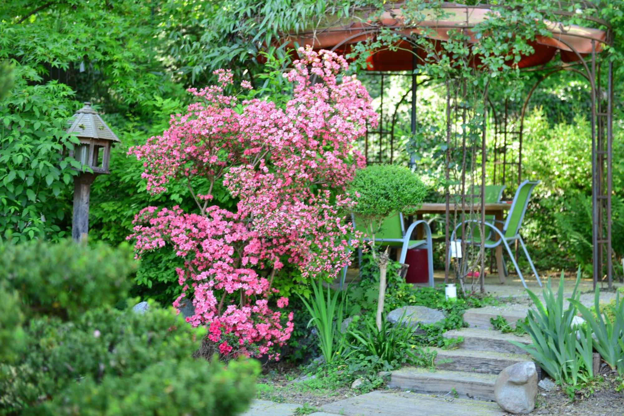 Готель Le Jardin De La Tuilerie Alsace Pfastatt Екстер'єр фото